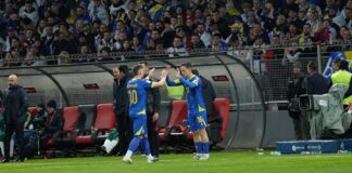 Bittere Nachricht: Dieser ”Zmaj” fällt für die WM aus Foto: Elvin Pračalić, bonat.ba