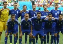 WM 2014 – als Bosnien Geschichte schrieb Foto: Goal.com