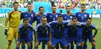 WM 2014 – als Bosnien Geschichte schrieb Foto: Goal.com